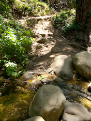 A creek towards the beginning of the trail