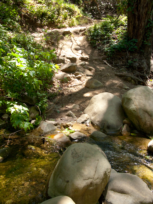 A creek towards the beginning of the trail