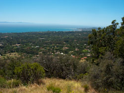 The coastline from the McMenemy Trail